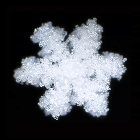 The Mwgif Snowflake's Impact on Weather Systems: A Meteorological Perspective